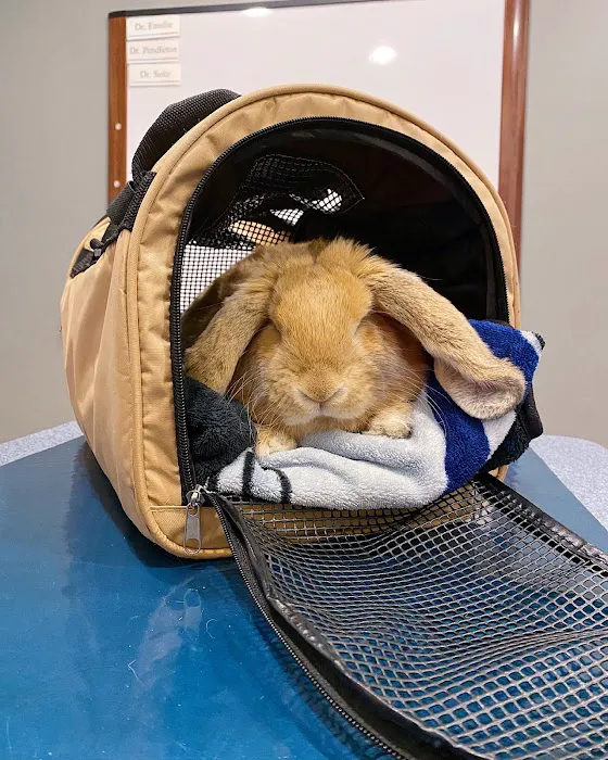 Landisville Animal Hospital 12