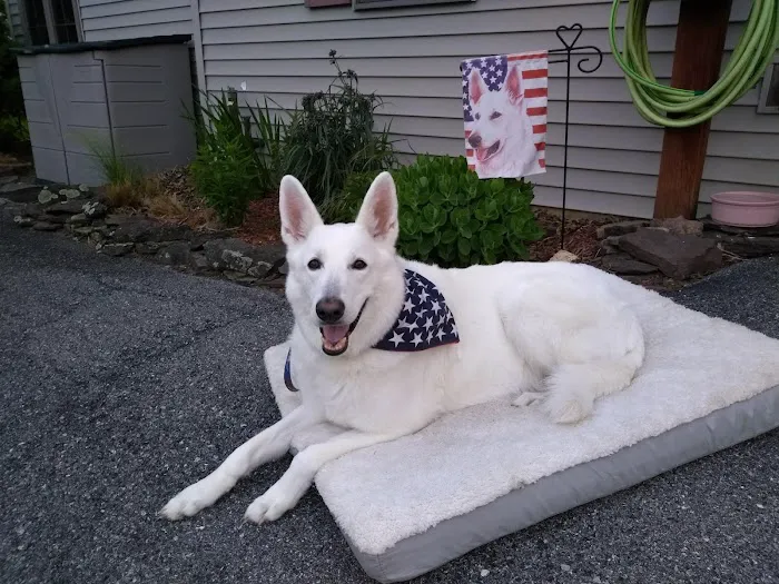 Landisville Animal Hospital 12