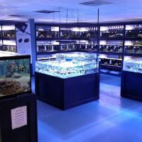 Nebraska Aquatic Supply ico