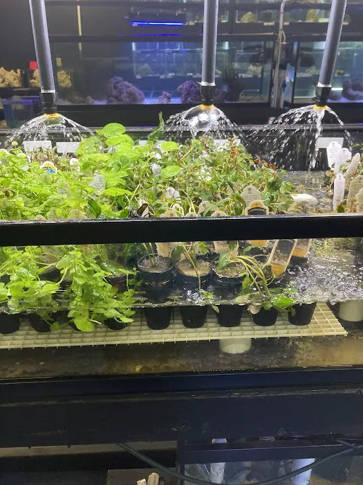 Nebraska Aquatic Supply 12