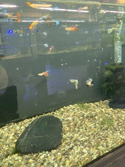 Nebraska Aquatic Supply 12