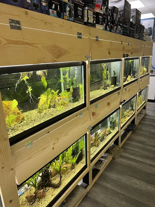 Blue Dog Aquatics and Reptiles 12
