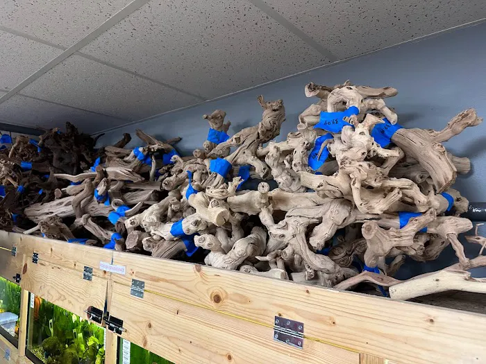 Blue Dog Aquatics and Reptiles 12