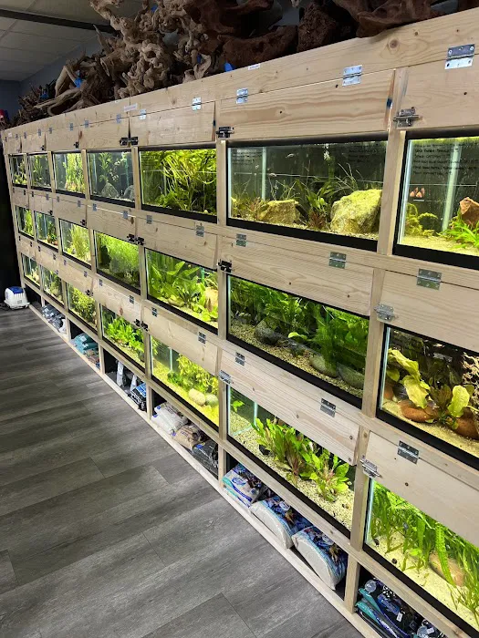 Blue Dog Aquatics and Reptiles 12