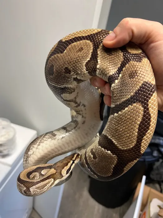 Blue Dog Aquatics and Reptiles 12