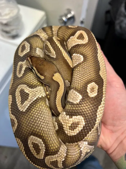 Blue Dog Aquatics and Reptiles 12