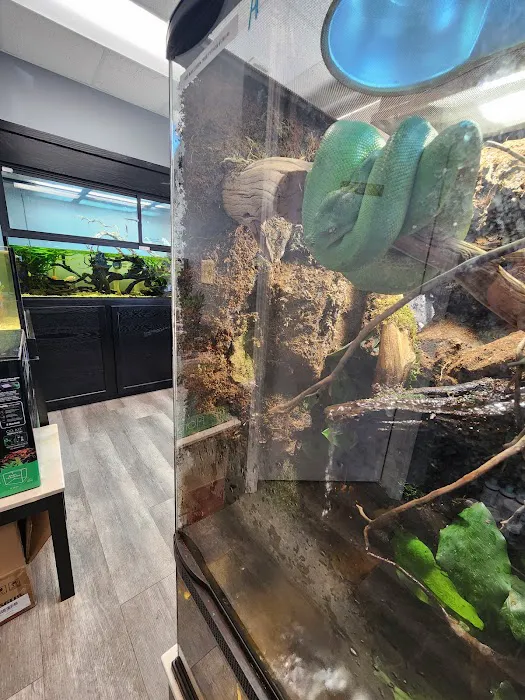 Blue Dog Aquatics and Reptiles 12