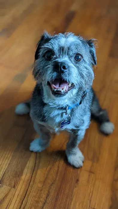 Milo's BARKery & BARKeasy 12