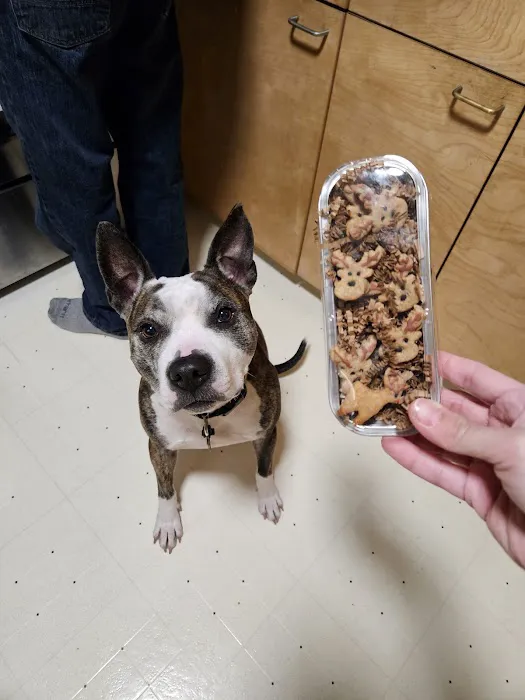 Milo's BARKery & BARKeasy 12