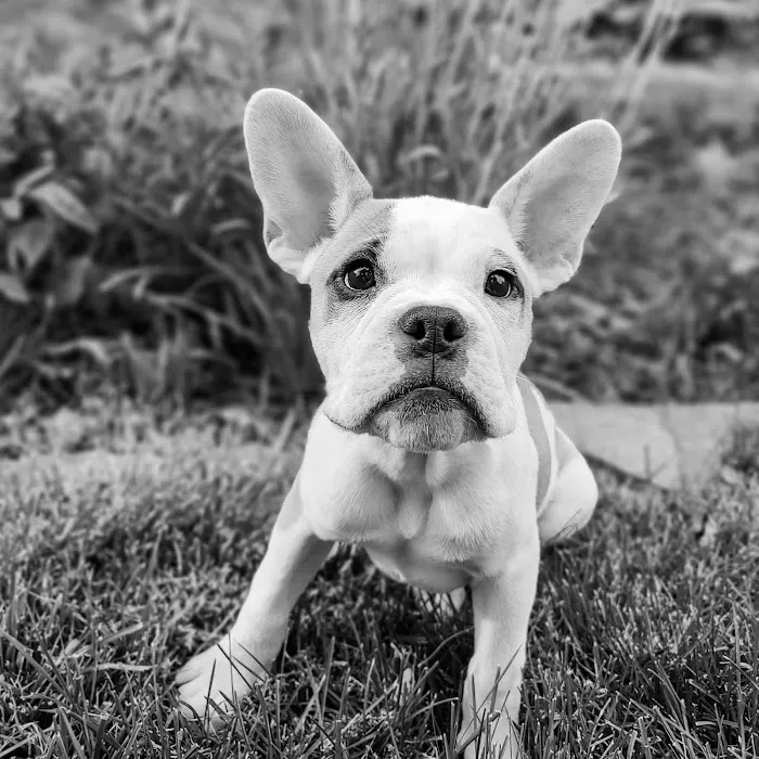Heston Veterinary Medical Center 12
