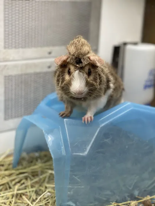 Petco 12