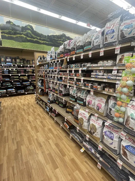 Petco 12