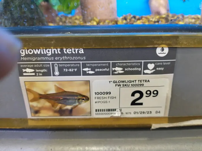 Petco 12