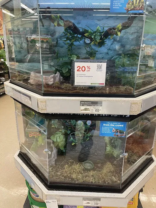 Petco 12