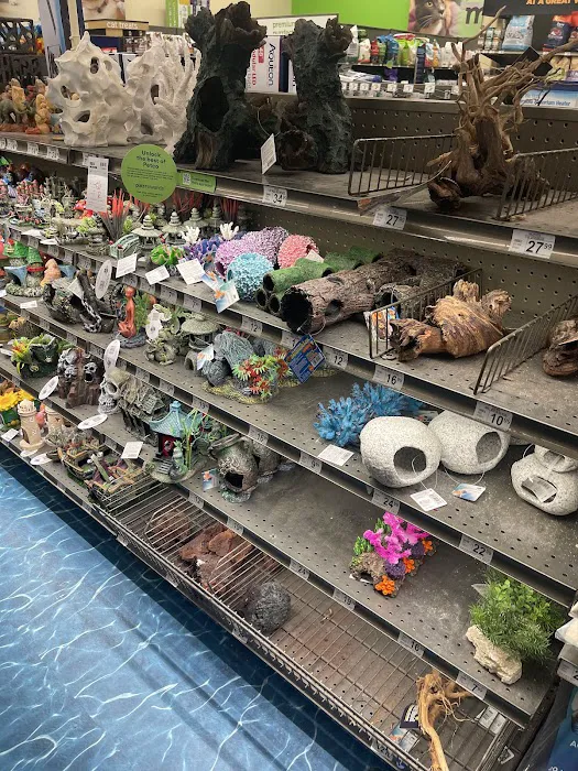 Petco 12