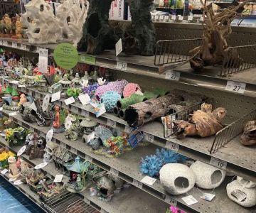 Petco