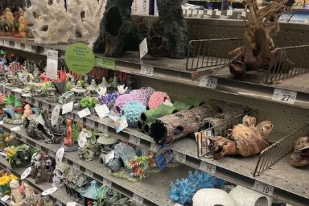 Petco