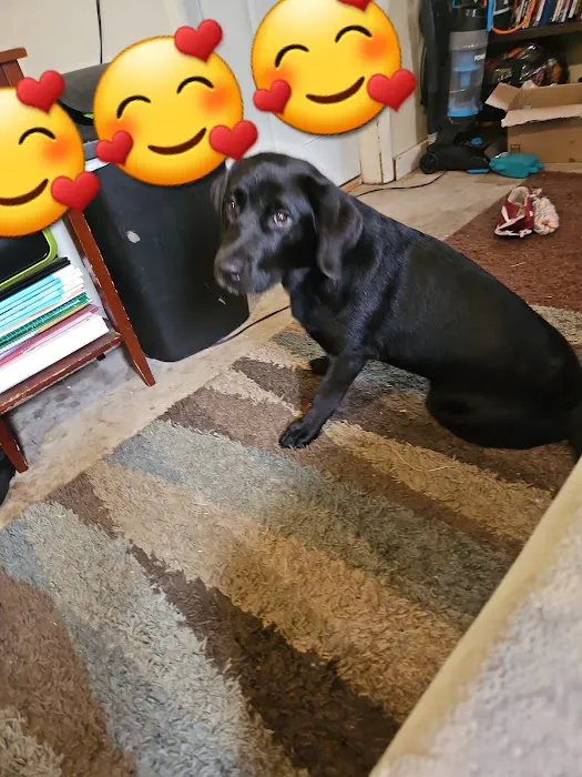 Petco 12