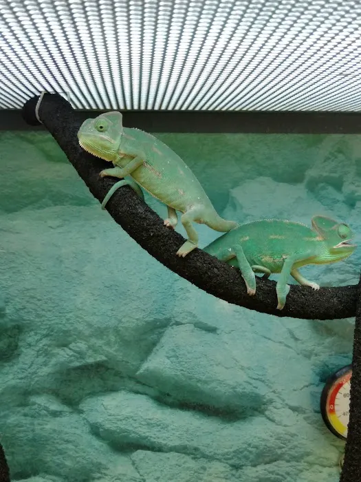 Petco 12