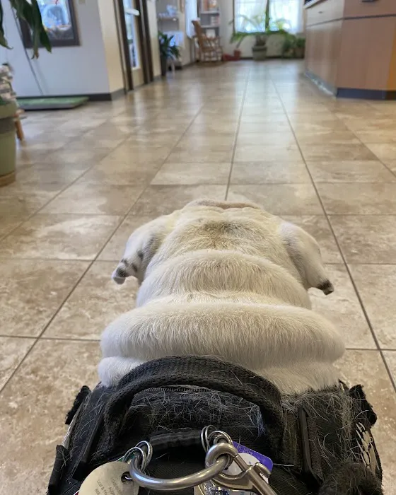 Cove Mountain Animal Hospital 12