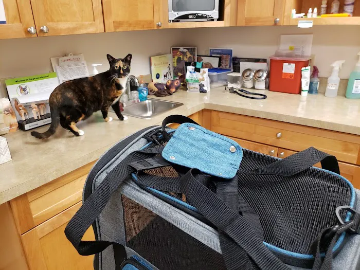 Cove Mountain Animal Hospital 12