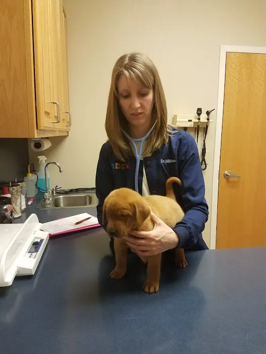 Animal Health Care of Myerstown 12