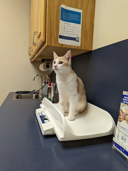 Animal Health Care of Myerstown 12