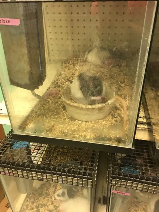 Bird Cage Pet Shop 12