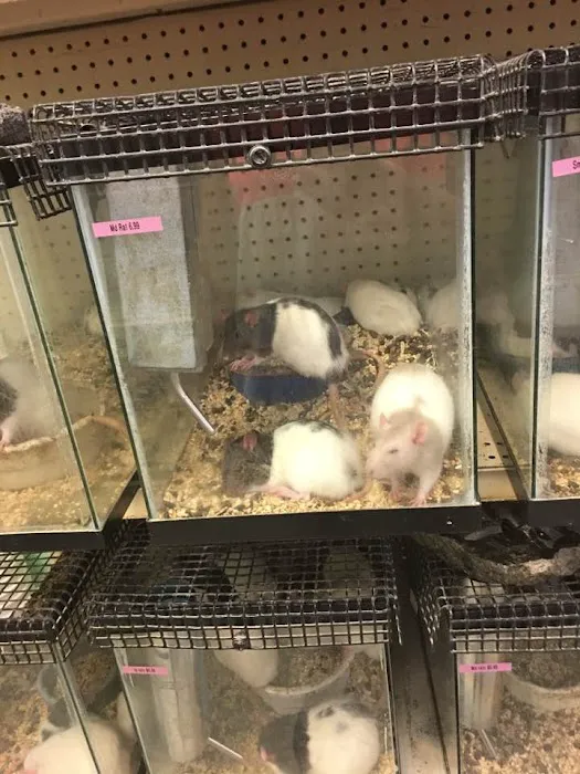 Bird Cage Pet Shop 12