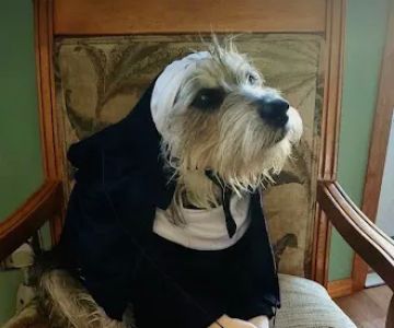 Humane Pet Services LLC