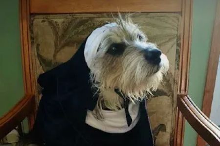 Humane Pet Services LLC