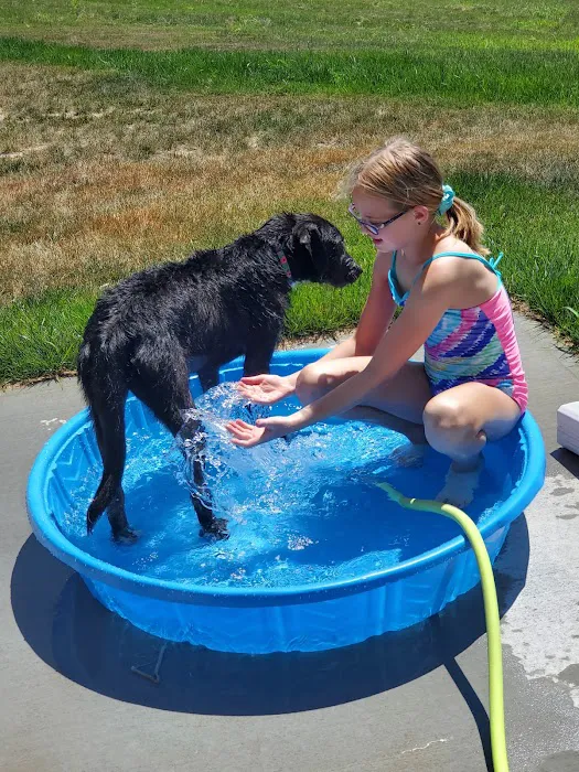 Humane Pet Services LLC 12