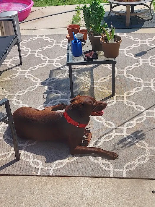 Humane Pet Services LLC 12