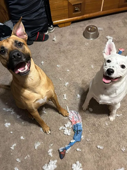 Humane Pet Services LLC 12