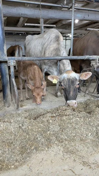 Agricultural Veterinary Associates 12