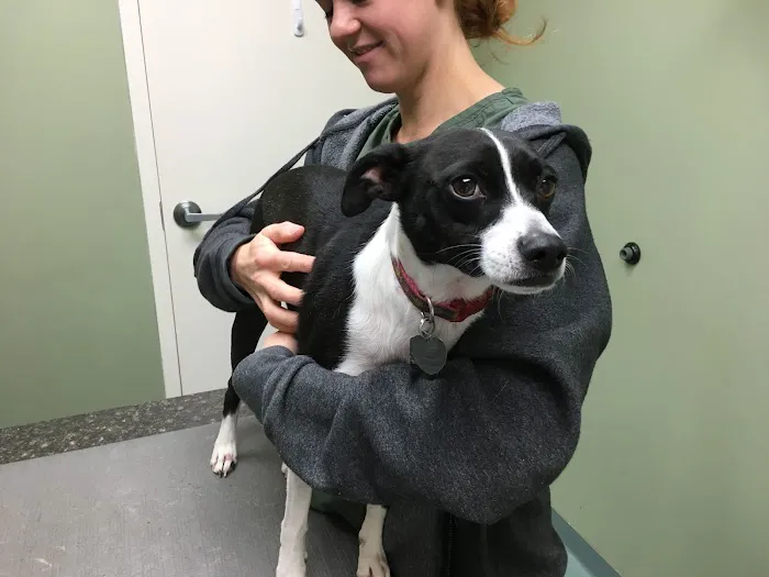 Rock Hill Animal Hospital 12