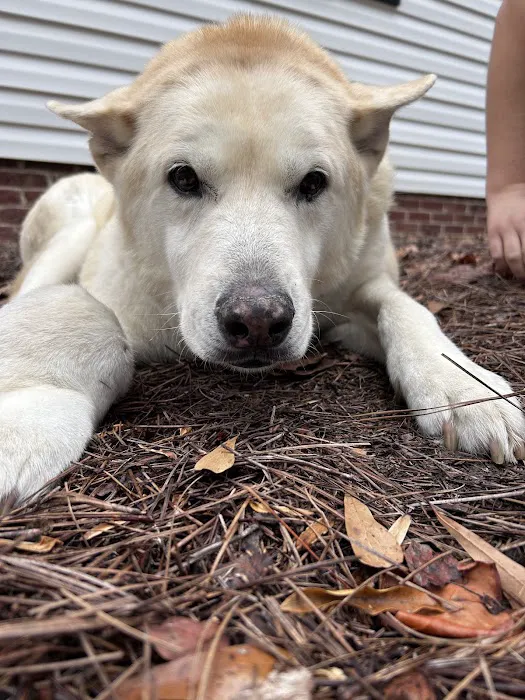 Newport Veterinary Hospital 12