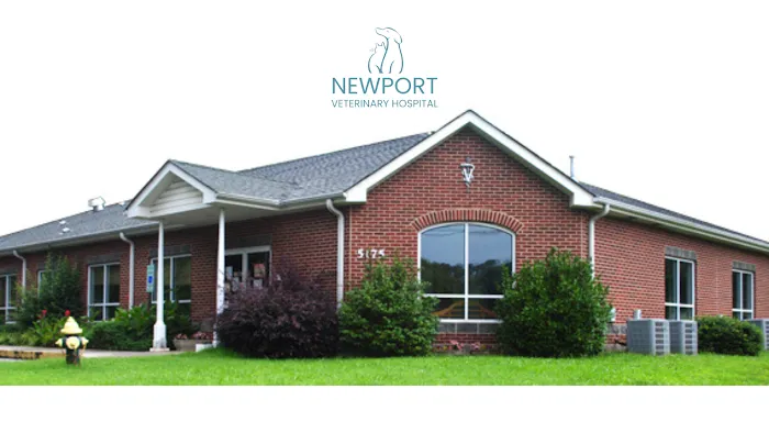 Newport Veterinary Hospital 12