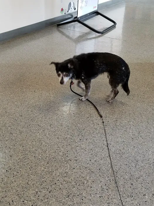 Newport Veterinary Hospital 12