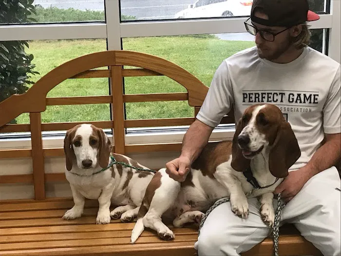Newport Veterinary Hospital 12