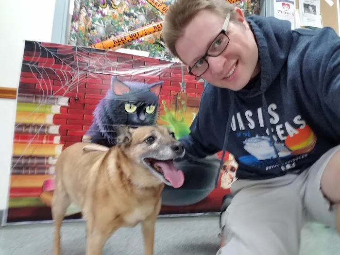 Newport Veterinary Hospital 12