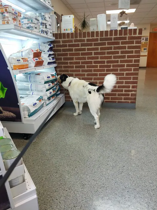 Newport Veterinary Hospital 12