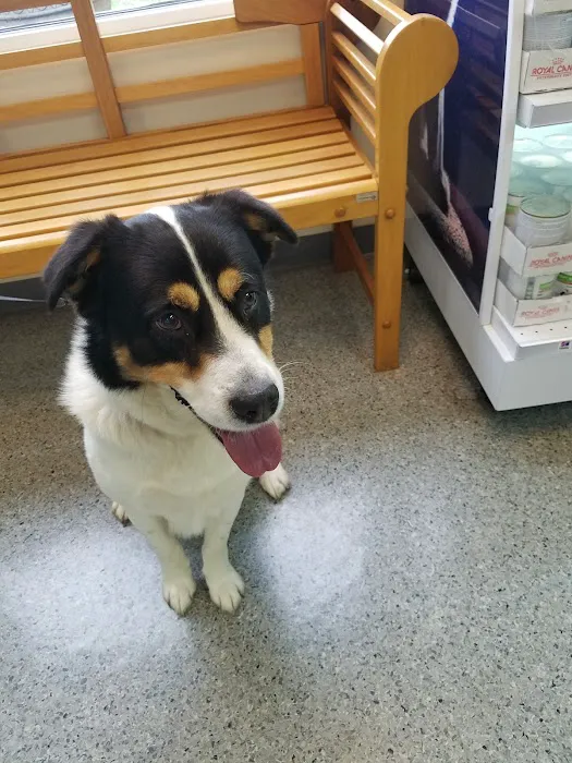 Newport Veterinary Hospital 12