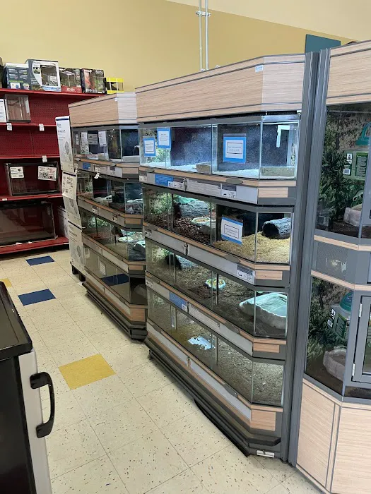 Petco 12