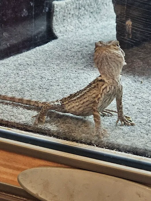 Petco 12