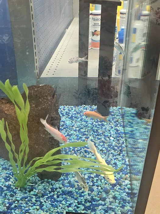 Petco 12