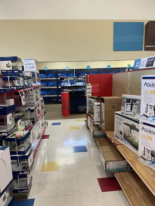 Petco 12