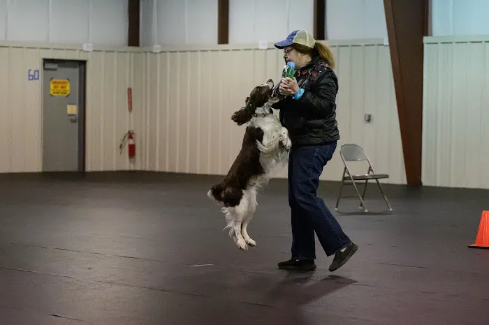 Jackson Pet Hospital 12