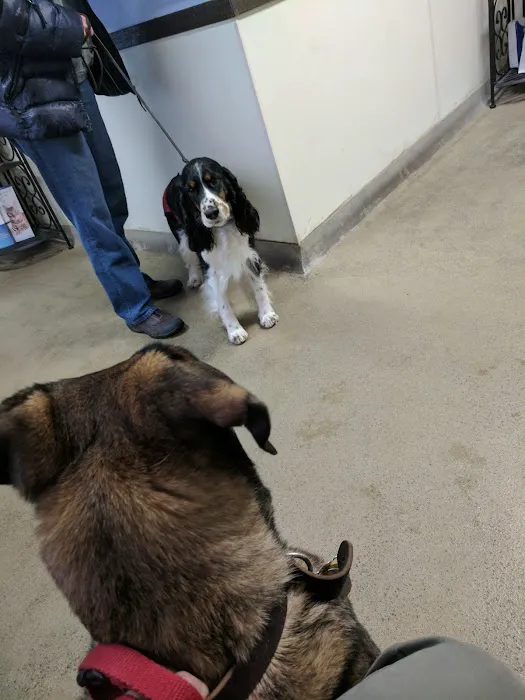 Jackson Pet Hospital 12