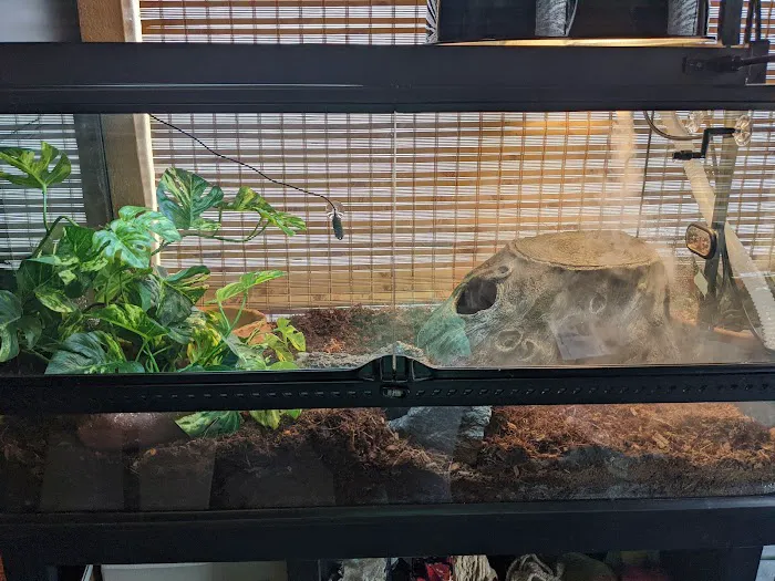 Cross City Exotics 12